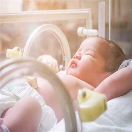 代孕服务在哪里-上海有供卵的生殖中心_试管婴儿技术是治疗不孕不育的辅助手