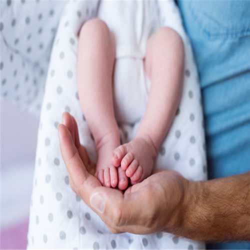 供卵试管代孕流程-上海代孕程序_婴儿性别什么时候确定的，有哪些因素？