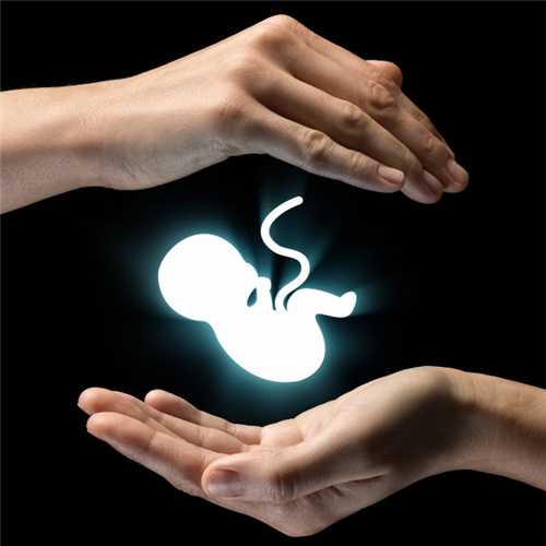 80万高级包成功代孕套餐-上海三代试管供卵助孕费用_美国试管婴儿成功率因素