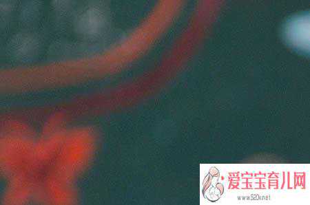 上海如何提升代孕的成功率-代孕产子微信群_孕期做B超检查对胎儿有害吗？