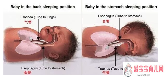 代孕一般多钱-上海代孕生殖中心靠谱吗_宝宝到底应该怎么睡呢哪种睡姿最适合